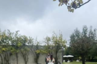 A História das Flores - 6