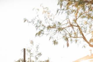 Amour Glamour Coliseu - 5