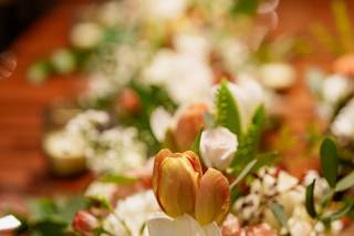 Orquidea Eventos - 8