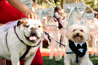 Quinta de Santa Teresinha - 9