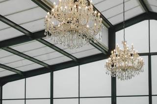 Pedro Maia Photography - 6