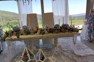 Tendências Naturais - 17