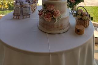 Tendências Naturais - 18