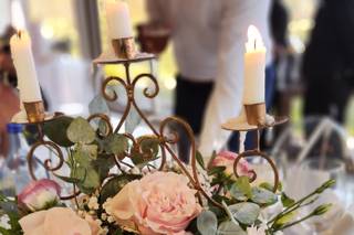 Tendências Naturais - 19