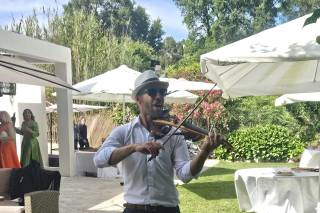 Wave Soul Eventos - 7