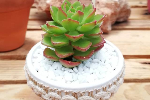 Jardim Encantado 4