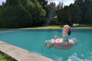 Quinta da Ponte - 19