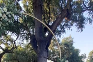 Quinta da Dança 5