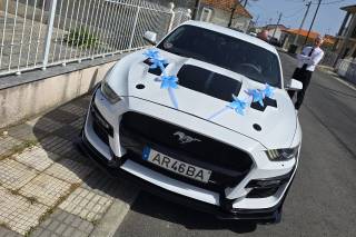 Mustang Moments - 14