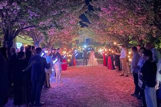 Cheers aquela banda - 5