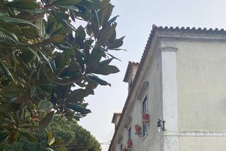 Quinta do Pé da Serra - 35