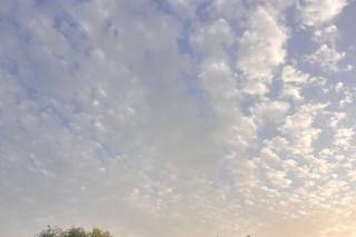 Herdade da Baracha - 9