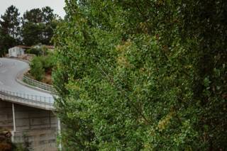 Sara Cerqueira Cabeleireiro e Estética - 15