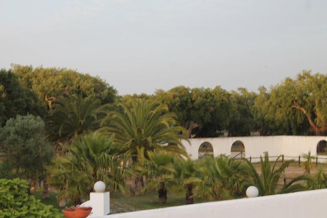 Herdade da Baracha - 1