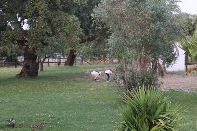 Herdade da Baracha - 3