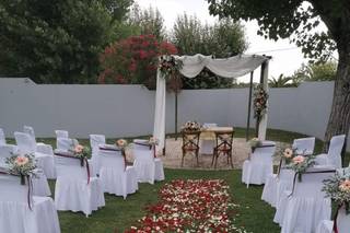 Papoila Vermelha - 11