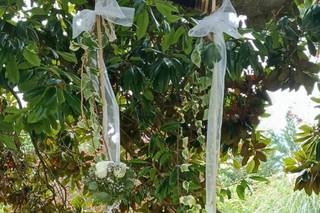 Rosas D'Cintra - 7