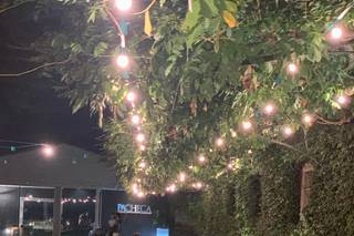 Quinta da Pacheca - 22