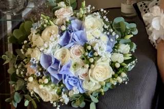 Florista Roseira Brava - 6