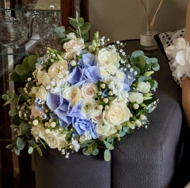 Florista Roseira Brava - 1