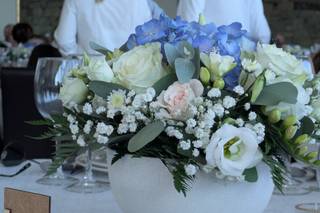 Florista Roseira Brava - 7