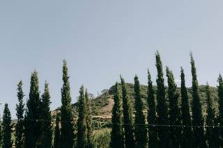 I Pronounce You Weddings - 5