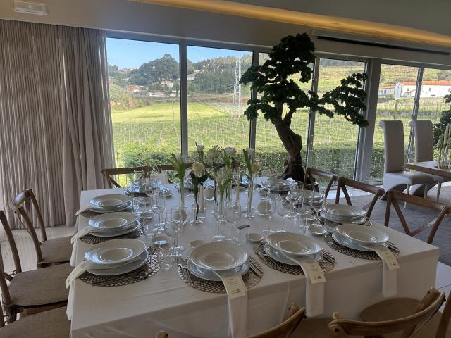 Quinta da Ferreirinha - Solar do Burguês - 4