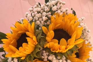 Alvi Flor - 5