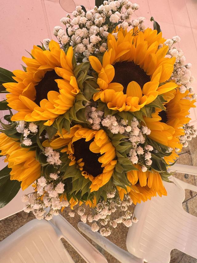 Alvi Flor - 2