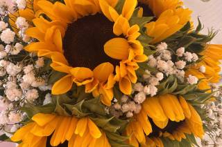 Alvi Flor - 6