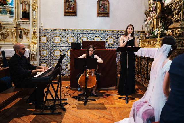 Lotus Ensemble 3
