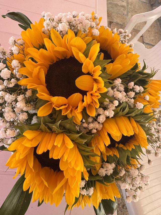 Alvi Flor - 3