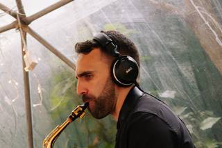 Senz - Música ao Vivo - 7