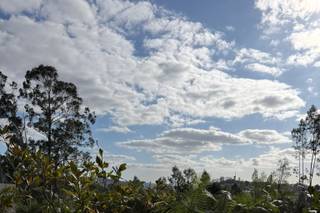 Montebello Wedding Events - 9