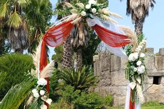 Colibri Flowers by André Aires - 5