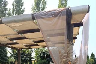 Colibri Flowers by André Aires - 6