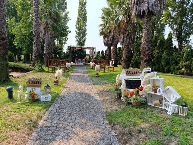 Colibri Flowers by André Aires - 4