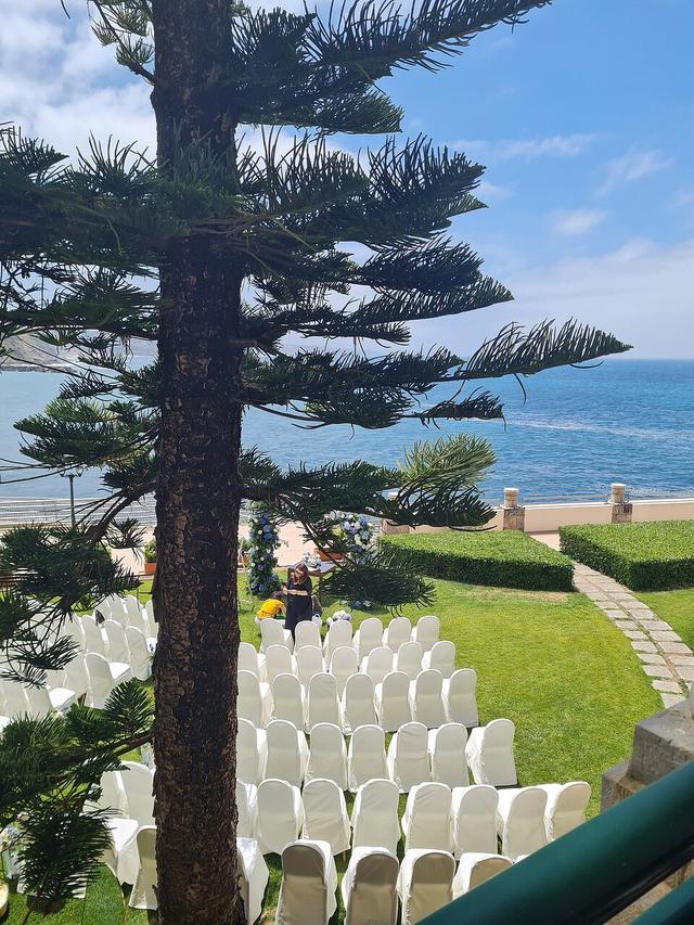 Ana Almeida Weddings Creator - 2