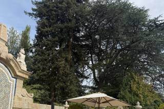Silkadelics - WoodPlan Events - 5