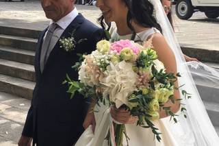 Natureza Dinâmica - 14