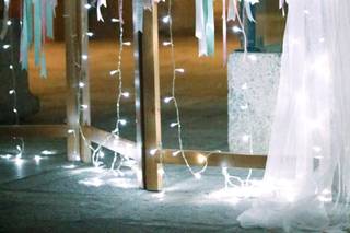 Natureza Dinâmica - 15