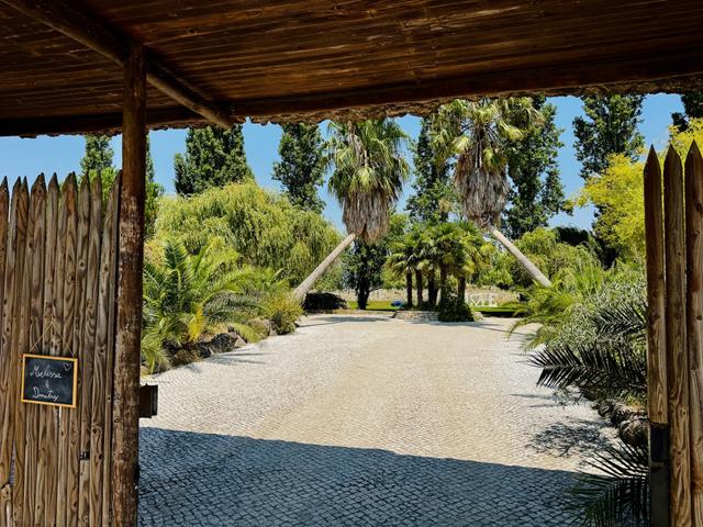 Quinta das Riscas - 3
