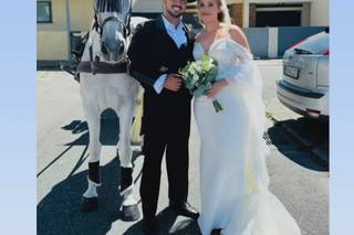 Amigos dos Cavalos de Vila de Punhe - 1