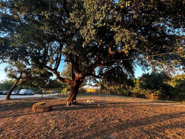 Quinta da Bolota - 4
