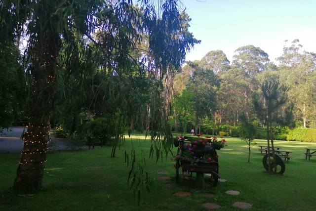 Bosque Eventos 1