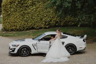 Mustang Moments - 6