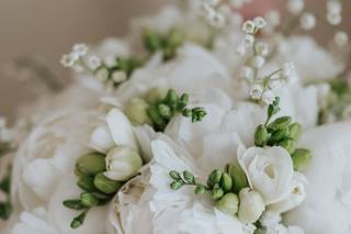 Orquidea Eventos - 5