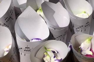 Natureza Dinâmica - 8