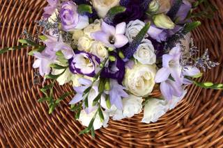 Natureza Dinâmica - 9