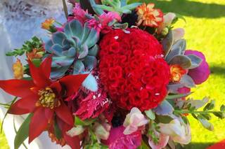 Flores Mari'Arte - 5